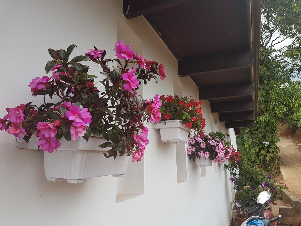 Gruenberg Tea Plantation Haus Bed & Breakfast Munnar Luaran gambar