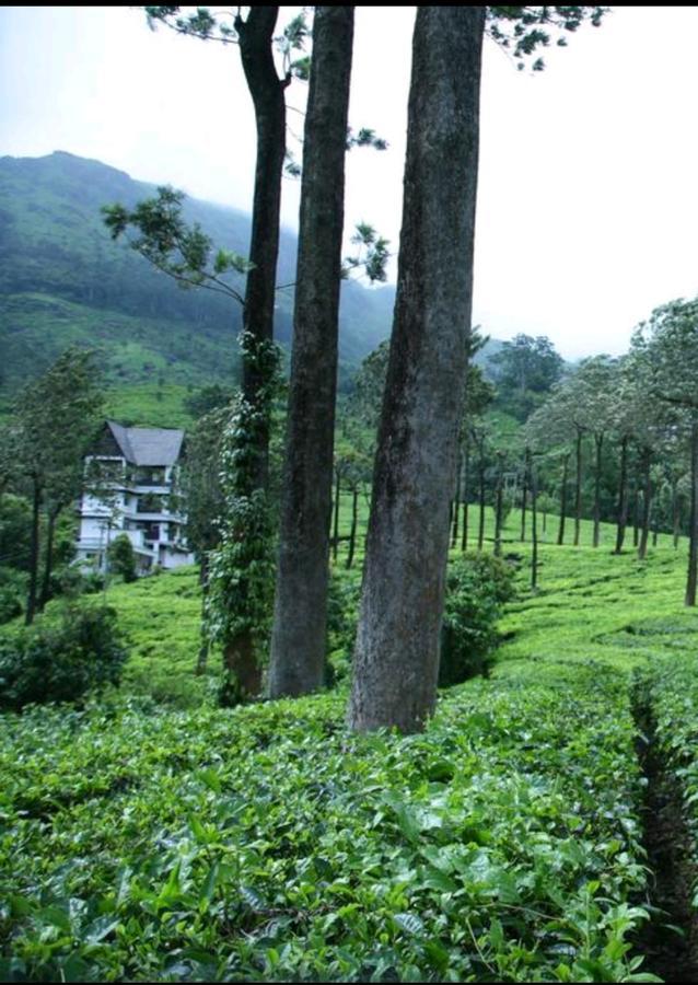 Gruenberg Tea Plantation Haus Bed & Breakfast Munnar Luaran gambar