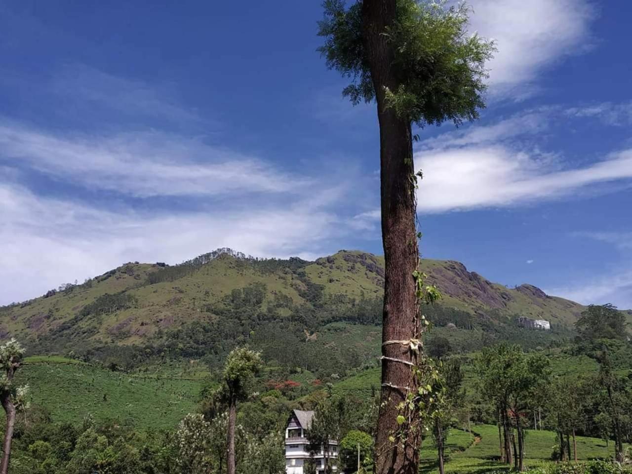 Gruenberg Tea Plantation Haus Bed & Breakfast Munnar Luaran gambar